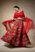 Hand Embroidred Lehenga With Drape Blouse And Feather Dupatta image 0