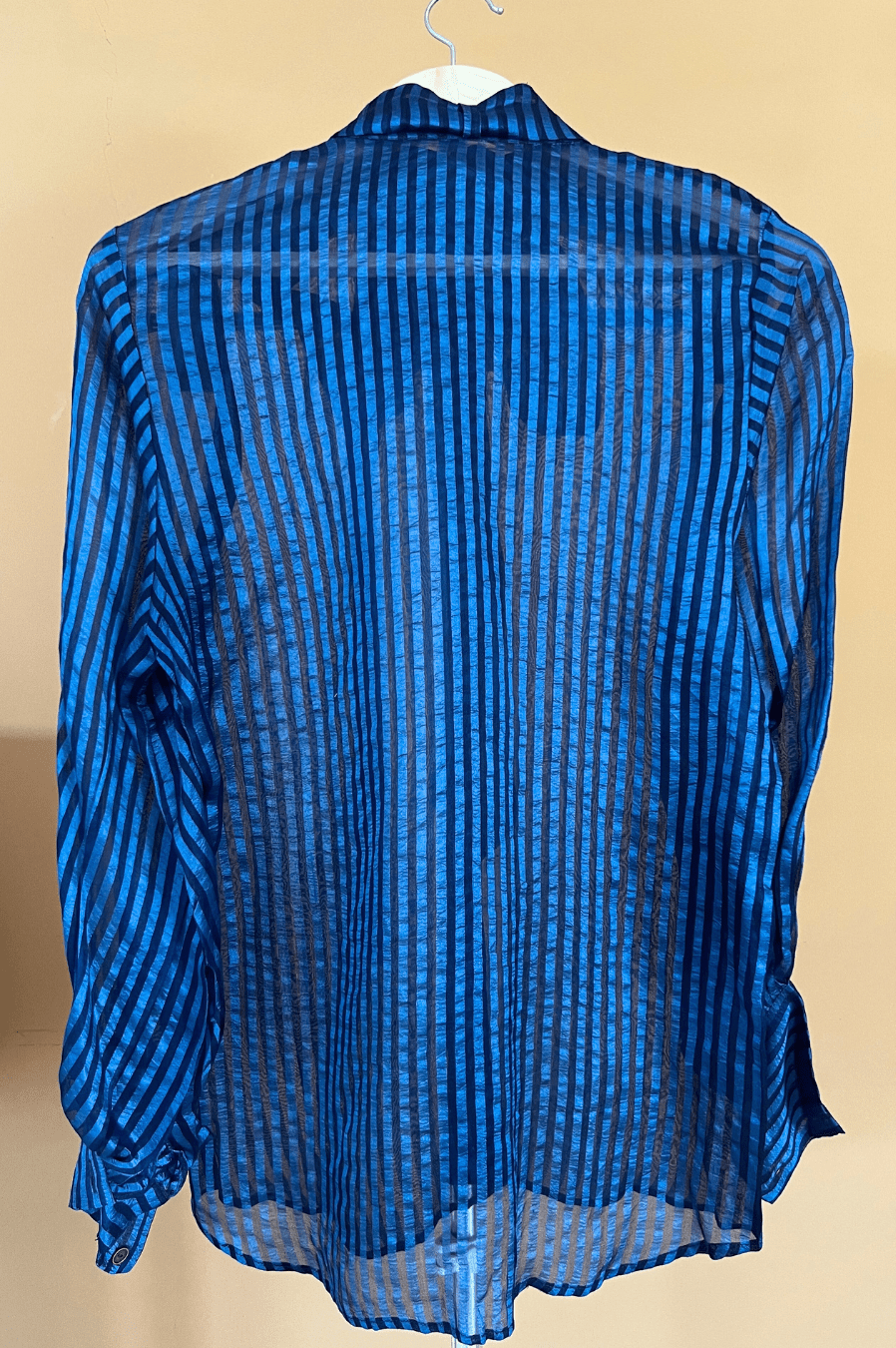 Organza Shirt image 1
