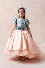 Princess silk Gown image 1