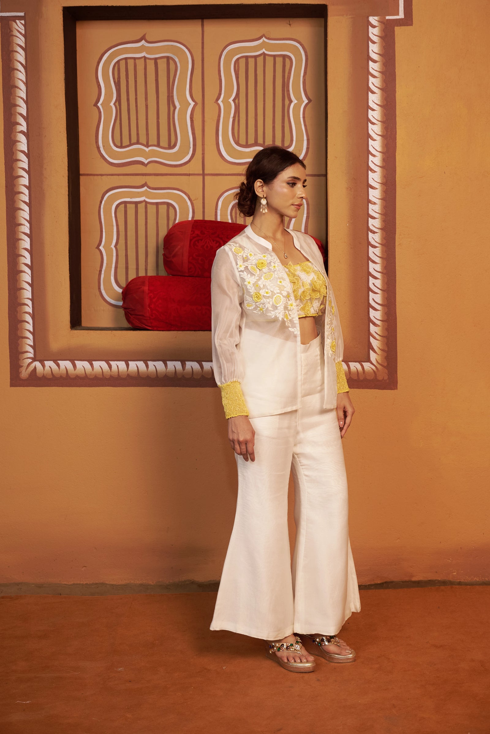 Chand Organza co-ord set with embroidered jacket