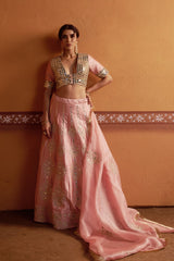 Kalidar blush pink hand embroidered lehenga with blouse and dupatta image 2