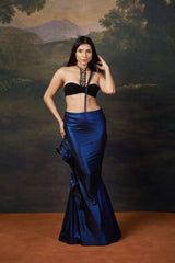 Embellished Saree gown with Heavy Swarovski Work image 0