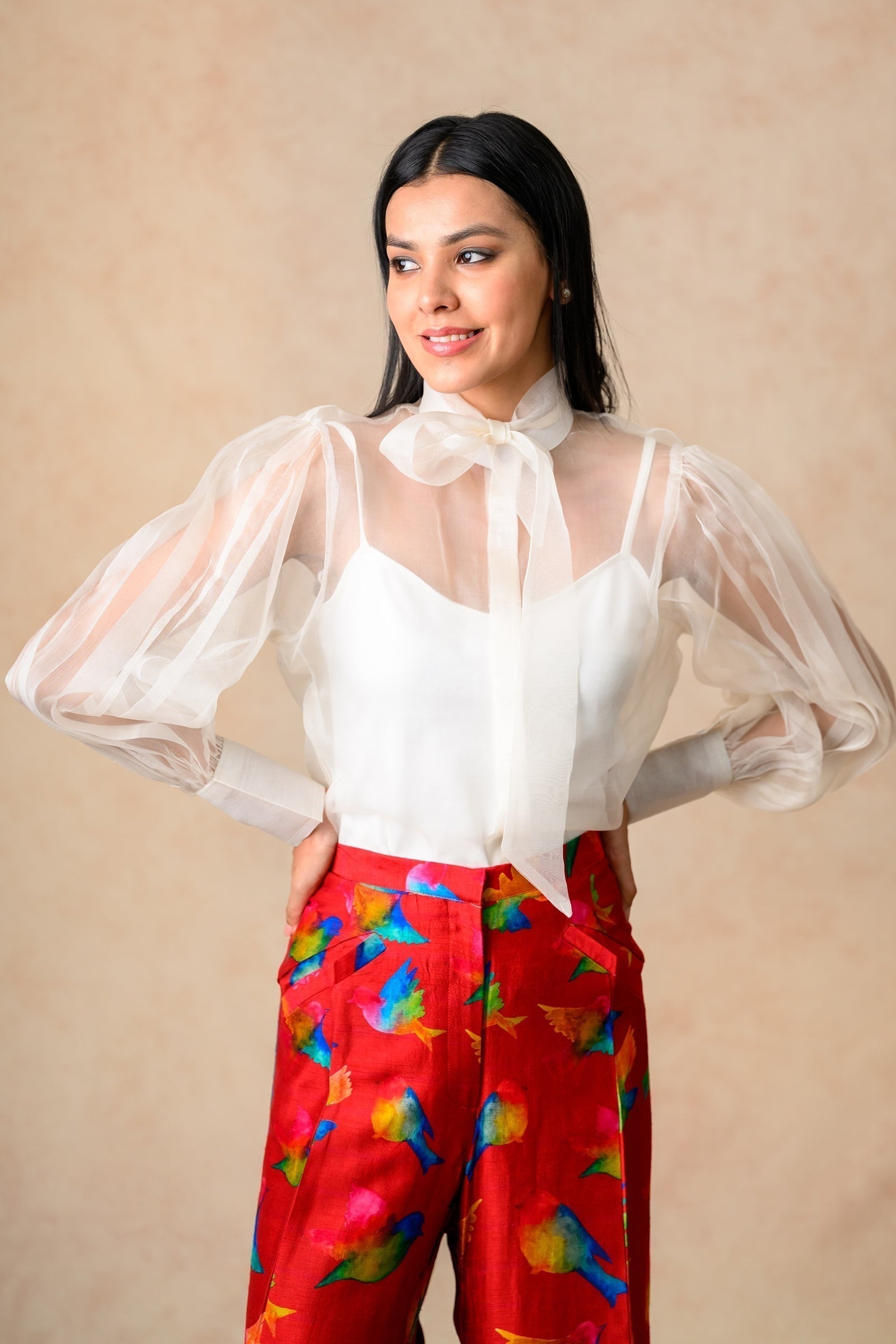 Organza Top With Flared Pants image 8