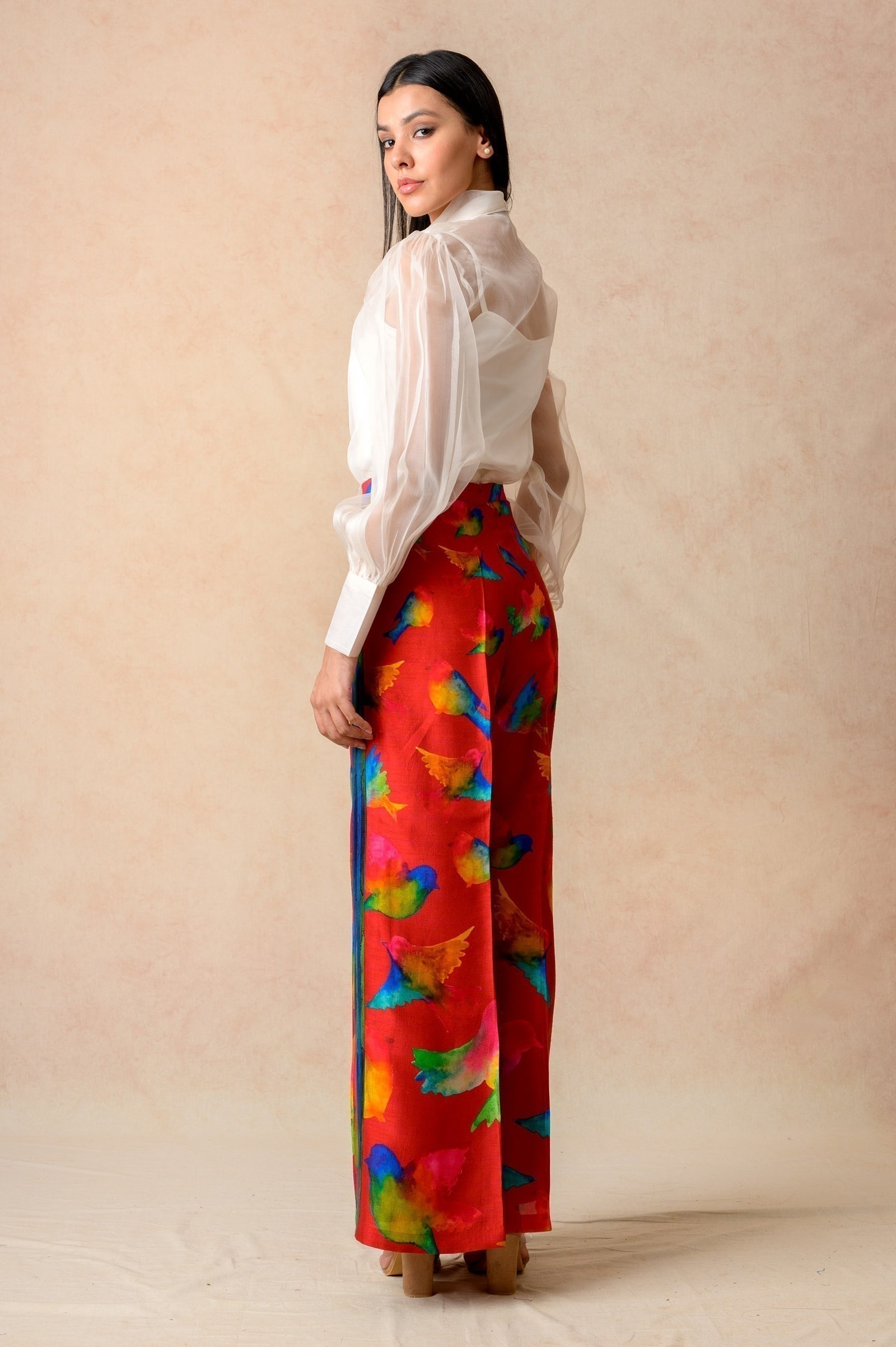 Organza Balloon Sleeves Top image 9