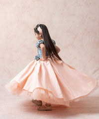 Princess silk Gown image 4
