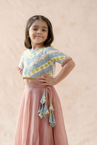 Choli with lehenga, dupatta image 3