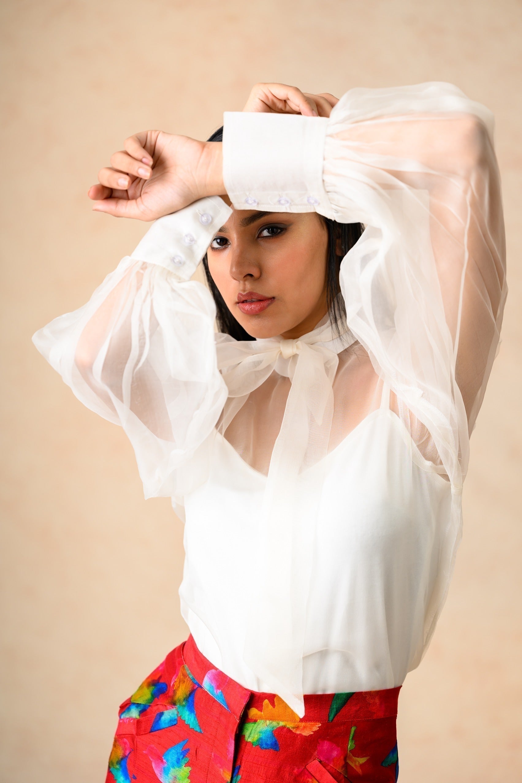 Organza Balloon Sleeves Top image 4
