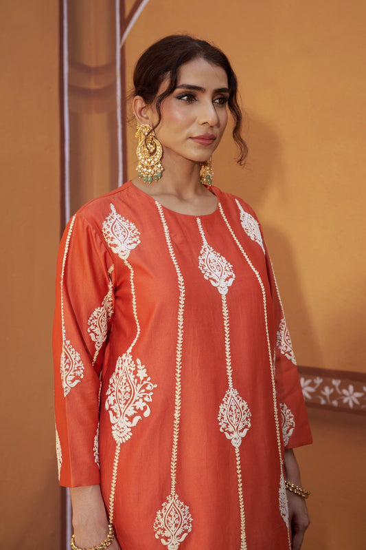 Dori Embroidery work A line kurta set image 1