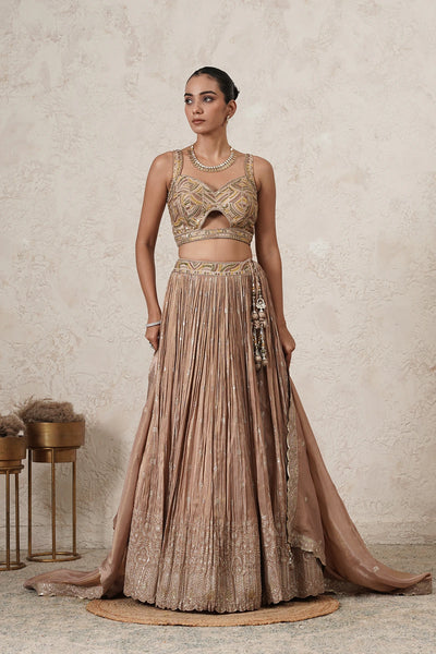 Sharbati Crushed Lehenga Set with Hand-Embroidered Blouse &amp; Dupatta | Champagne Rose | Polyester | Women | THETAA