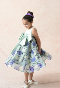 Hand embroidered frock image 0