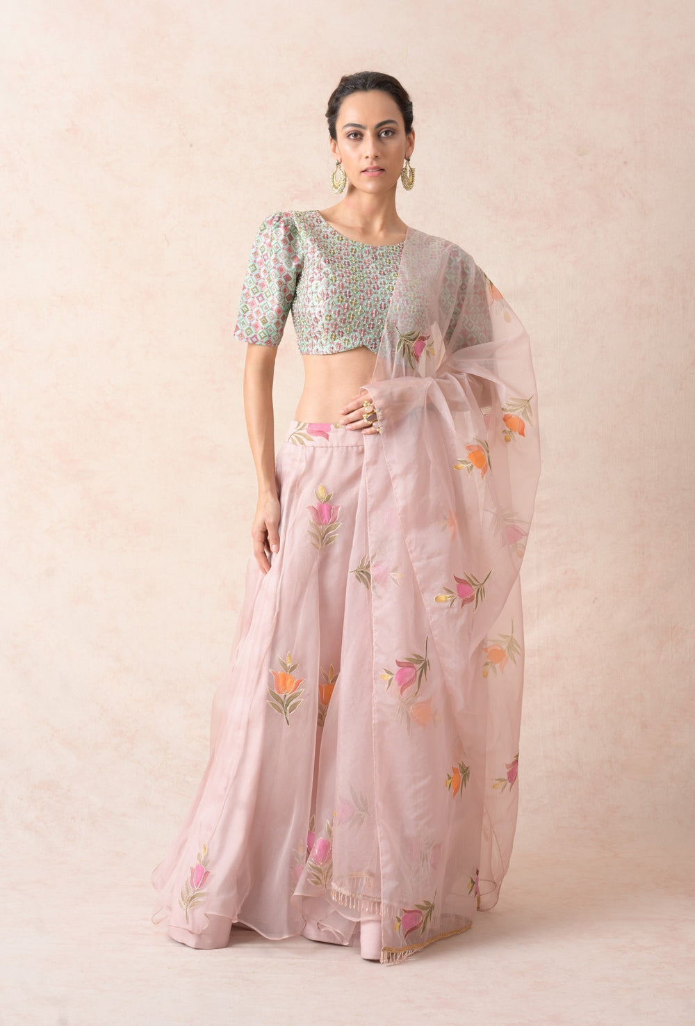 Embroidered blouse with organza lehenga, dupatta image 3