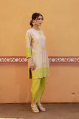 Half and half beige dhani kurta with tulip pants image 3
