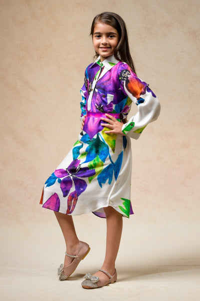 Shirt Dress image 2