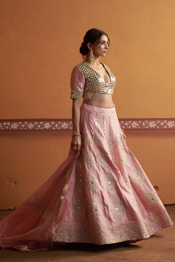 Kalidar blush pink hand embroidered lehenga with blouse and dupatta image 9
