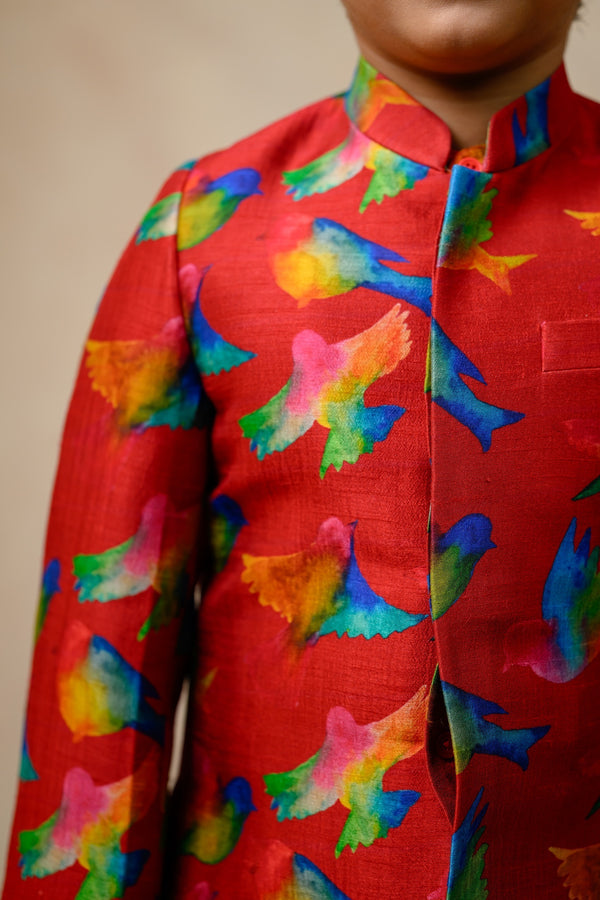 Indo Western Sherwani image 5