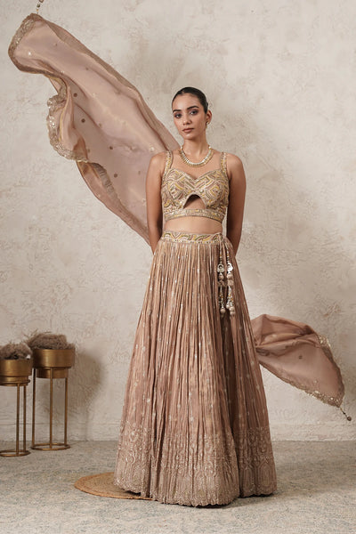 Sharbati Crushed Lehenga Set with Hand-Embroidered Blouse &amp; Dupatta | Champagne Rose | Polyester | Women | THETAA