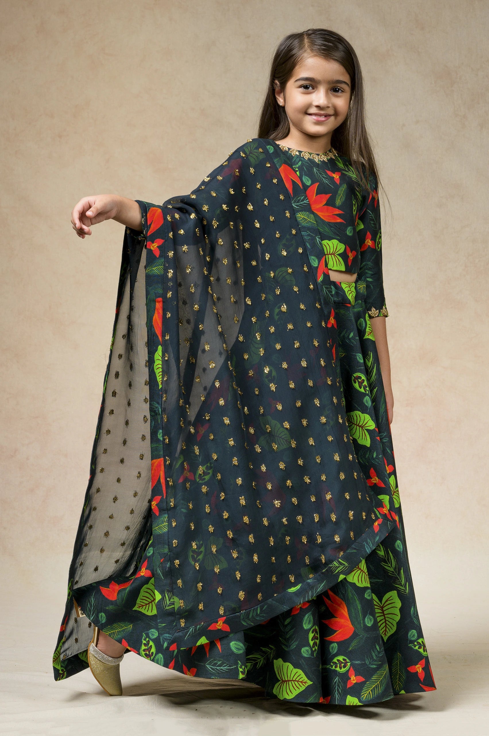 Hand Embroidered Flared Lehenga image 0