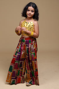 Avni Organza Co-Ord Set