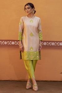 Dhara Jari Embroidered Applique Kurta With Tulip Pant Set