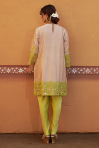 Dhara Jari Embroidered Applique Kurta With Tulip Pant Set