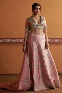Komal - Blush Pink Hand-Embroidered Kalidar Lehenga Set