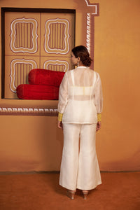 Chand Organza co-ord set with embroidered jacket