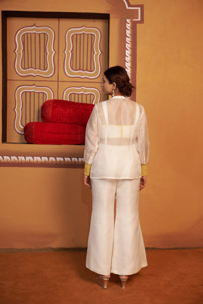 Chand Organza co-ord set with embroidered jacket