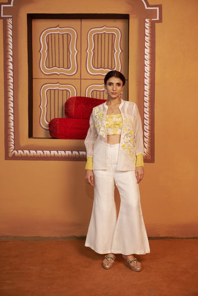 Chand Organza co-ord set with embroidered jacket