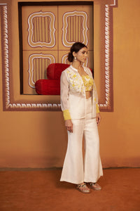 Chand Organza co-ord set with embroidered jacket
