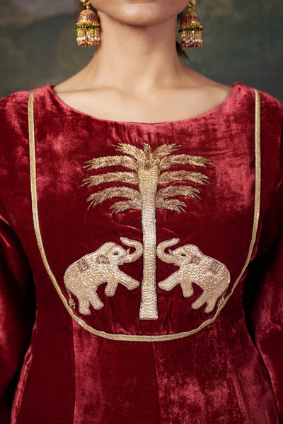 Vrinda - Red Hand-Embroidered Velvet Kalidar Anarkali Set