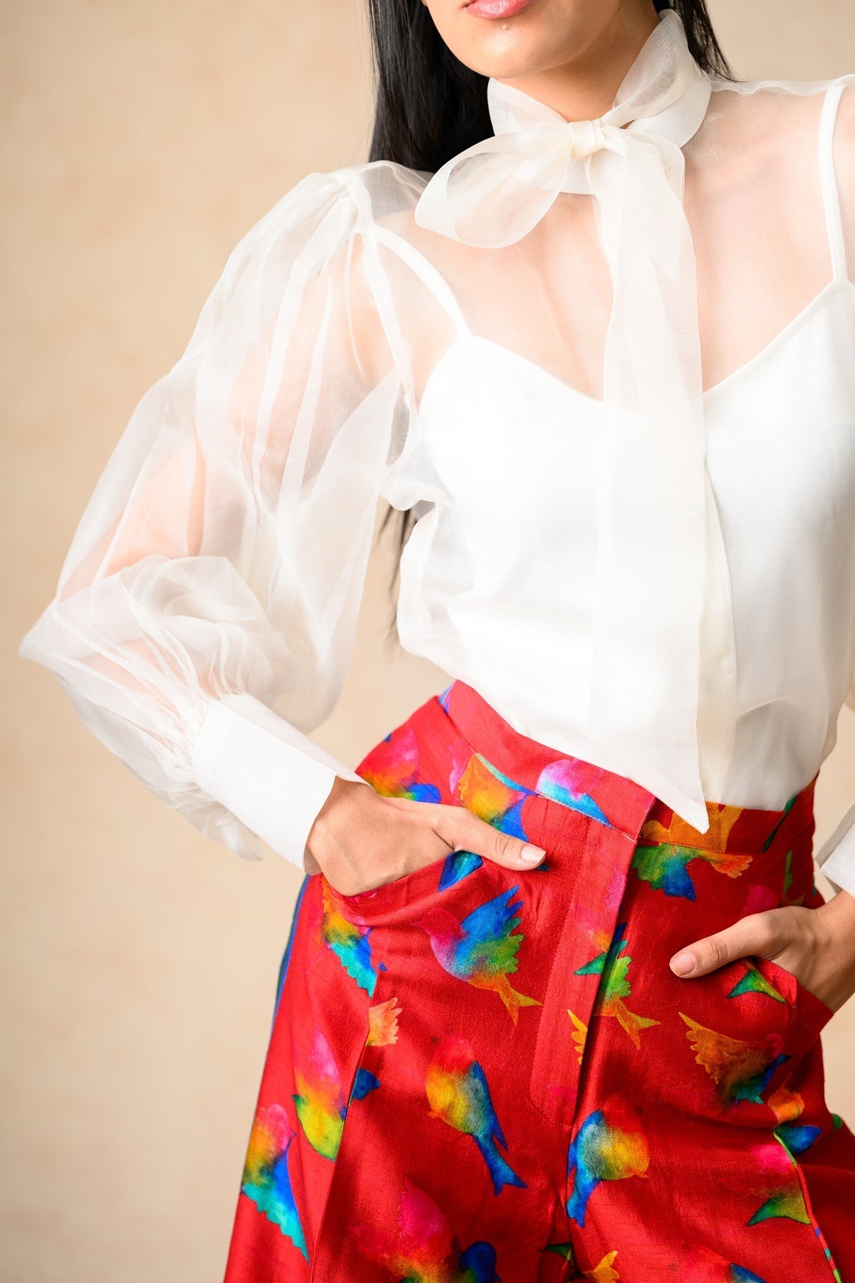 Organza Balloon Sleeves Top image 0