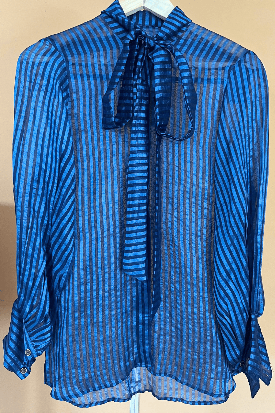 Organza Shirt image 0