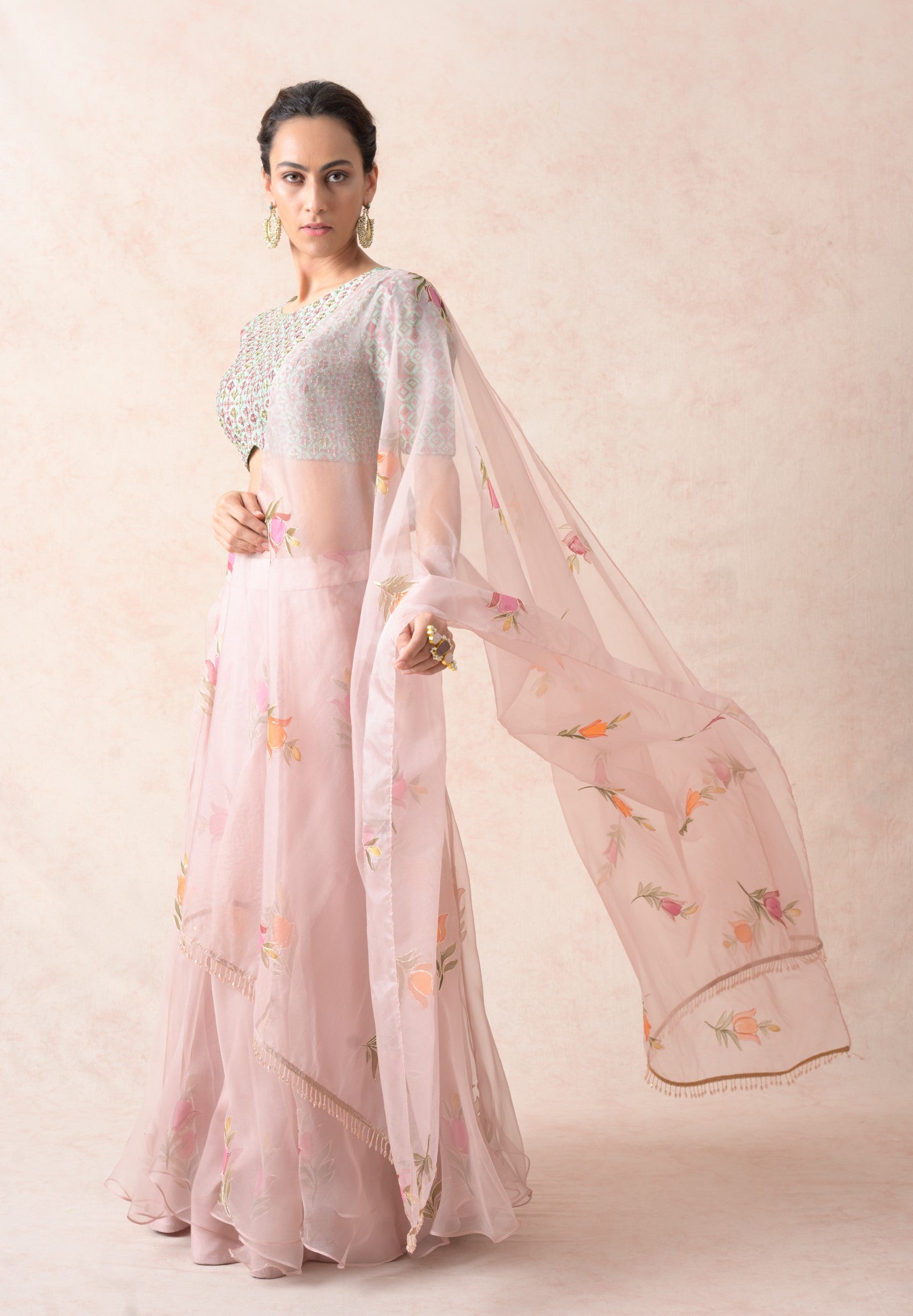Embroidered blouse with organza lehenga, dupatta image 6