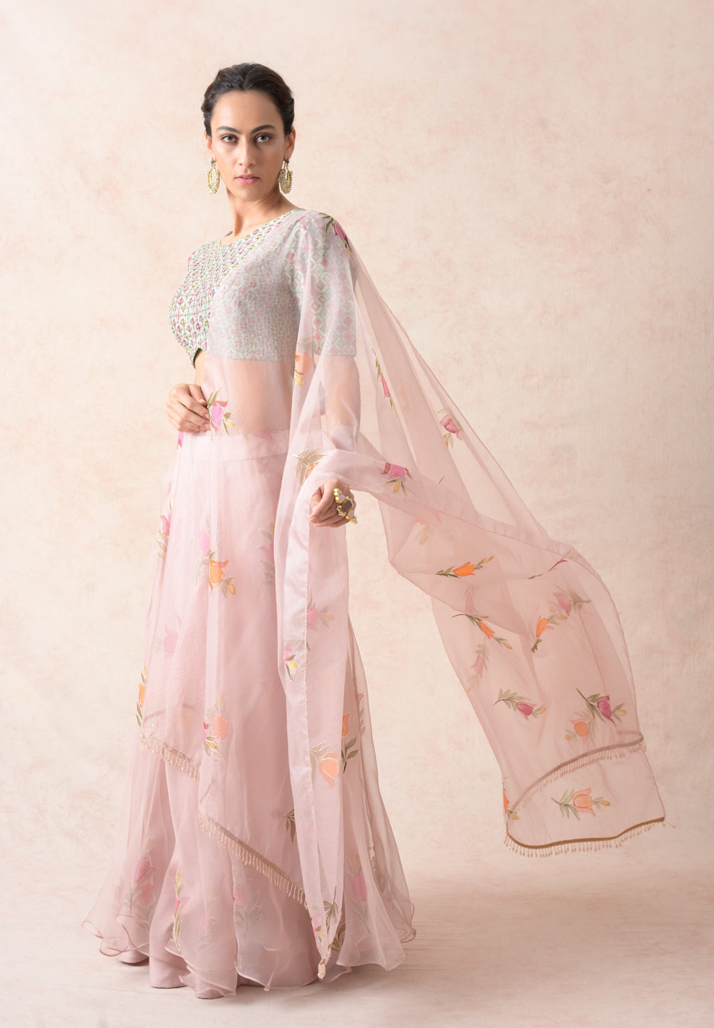 Embroidered blouse with organza lehenga, dupatta image 6