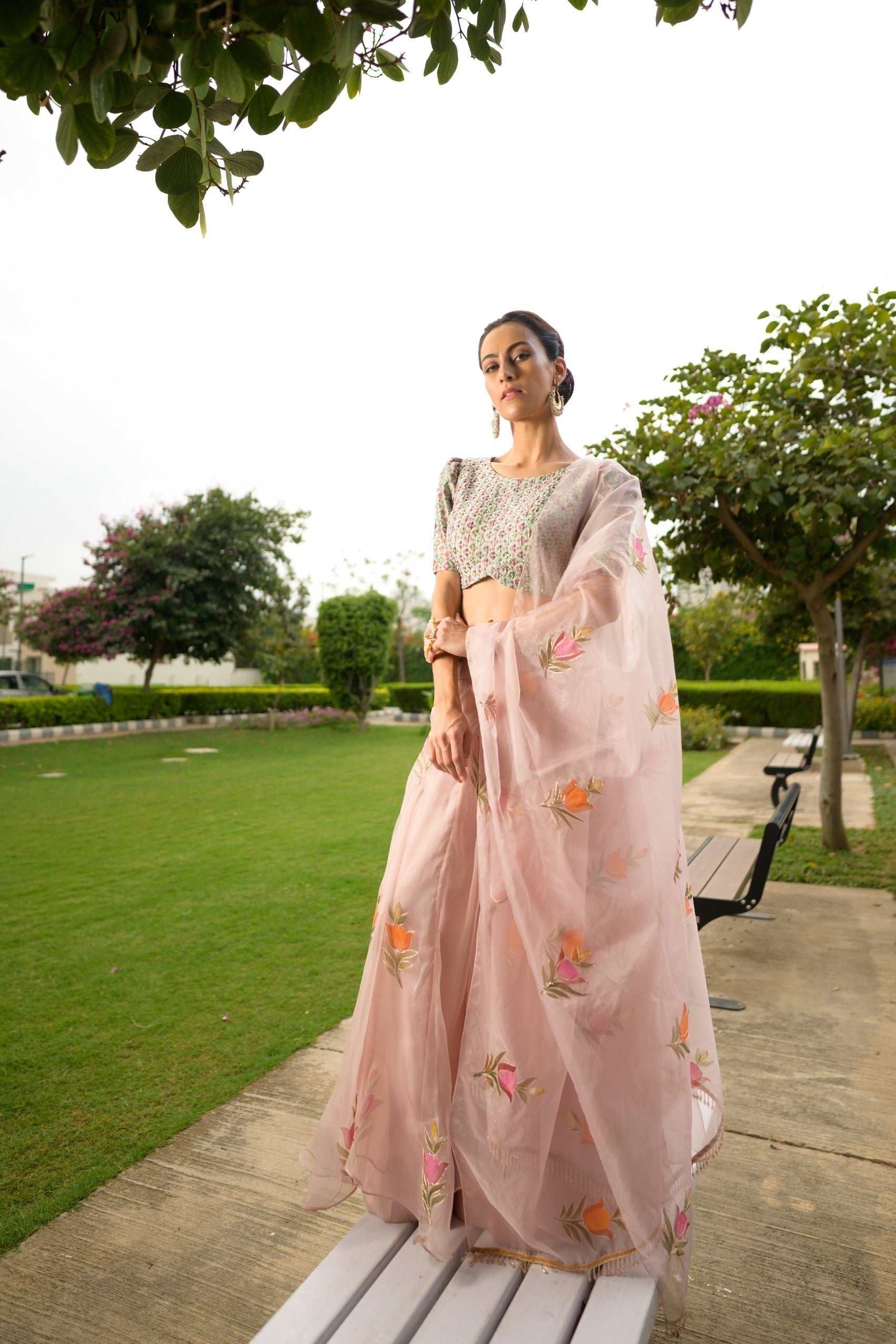 Embroidered blouse with organza lehenga, dupatta image 0
