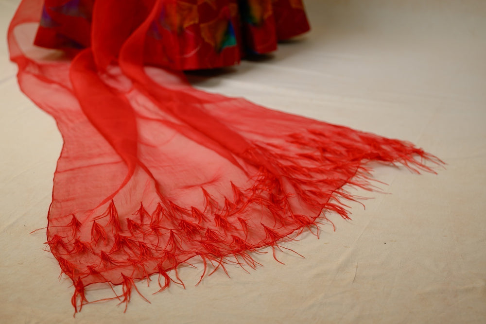 Hand Embroidred Lehenga With Drape Blouse And Feather Dupatta image 9