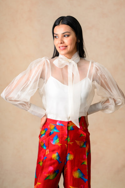 Organza Balloon Sleeves Top image 5