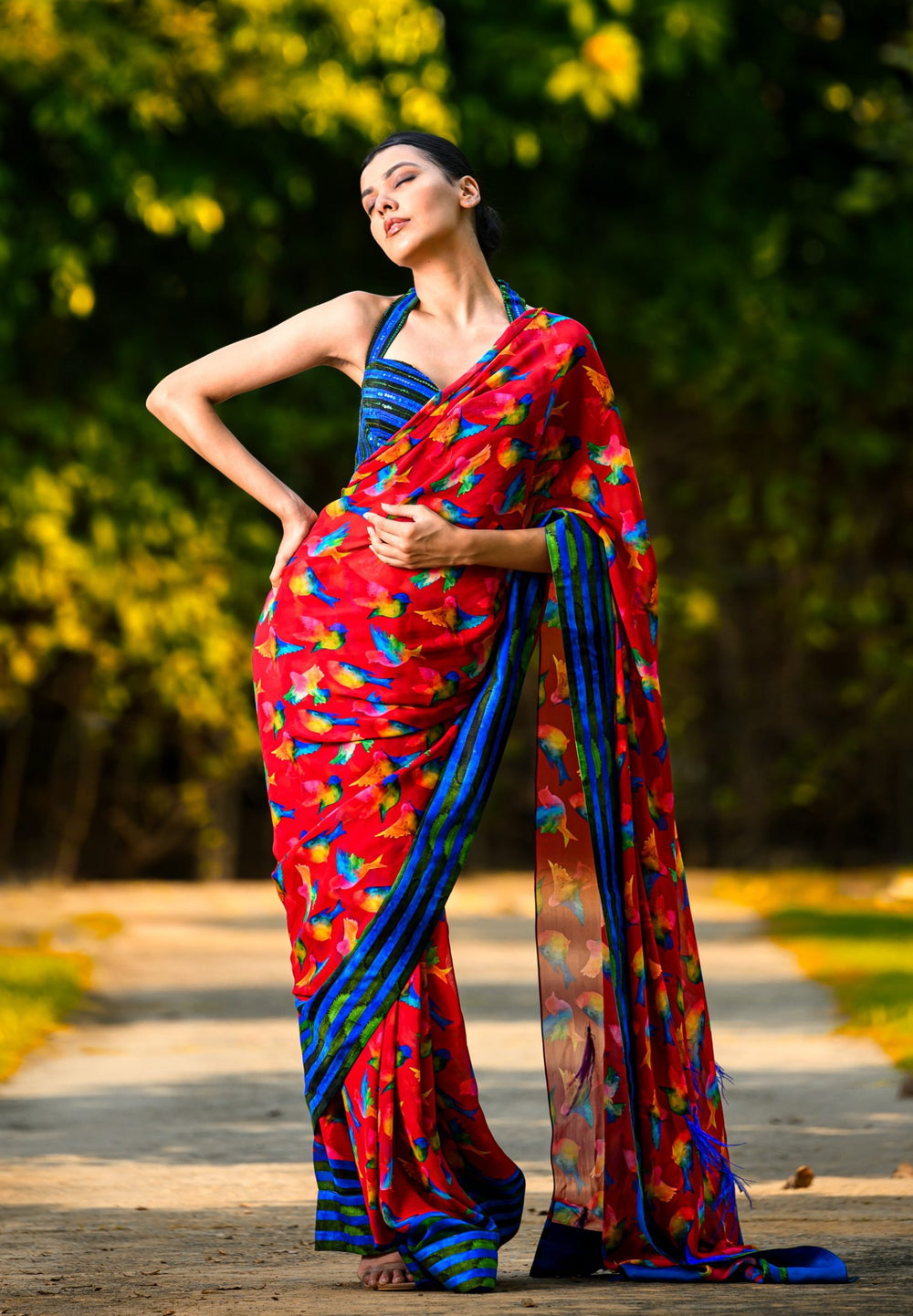 Hand Embroidered Blouse With Saree image 0