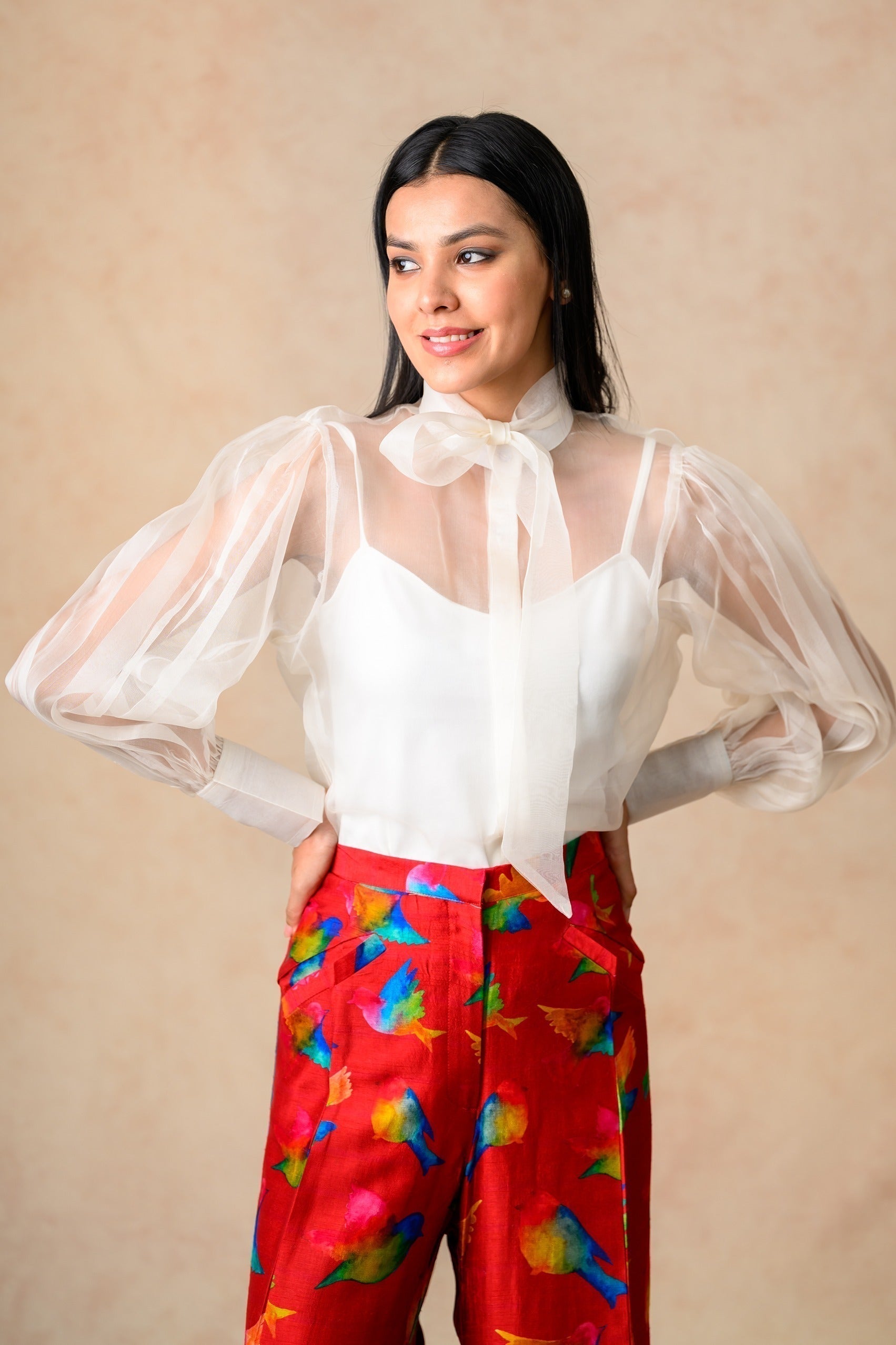 Organza Top With Flared Pants image 8