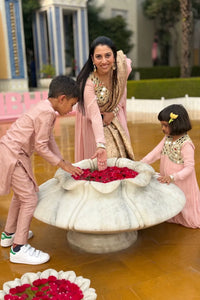 Blush Pink Hand-Embroidered Mirror Work Anarkali Set With Twin Dupatta